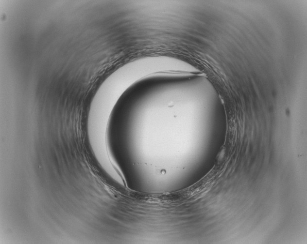 X0000086920416200705071333