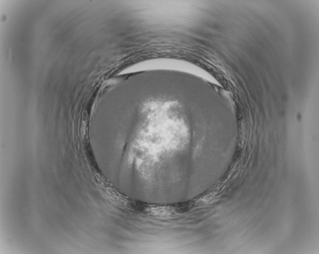 X0000086920417200705071333