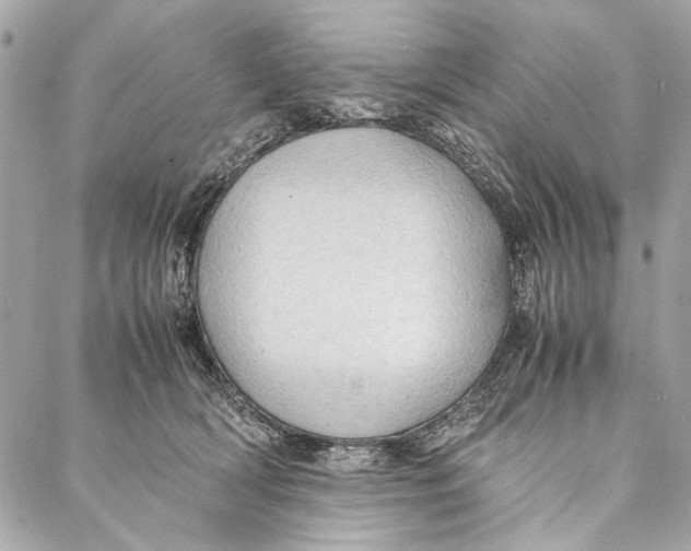 X0000086920418200705071333