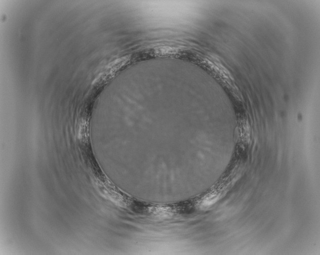 X0000086920419200705071333