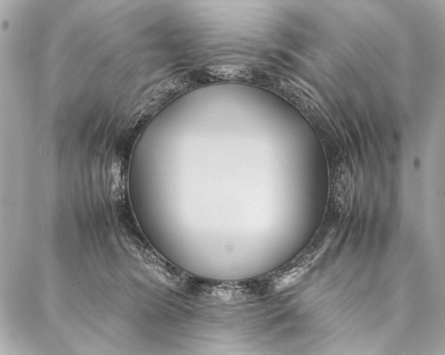 X0000086920420200705071333