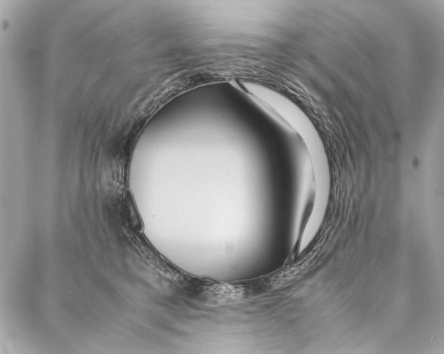 X0000086920421200705071333