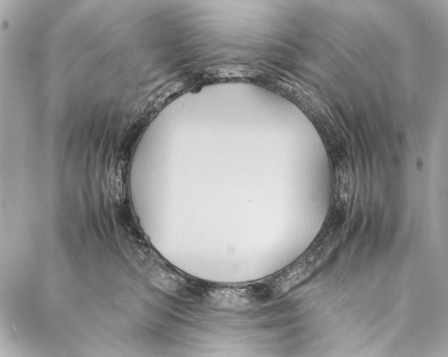 X0000086920422200705071333