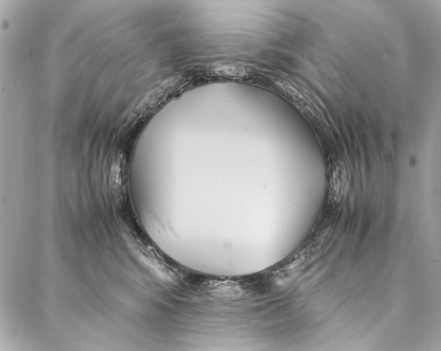 X0000086920424200705071333