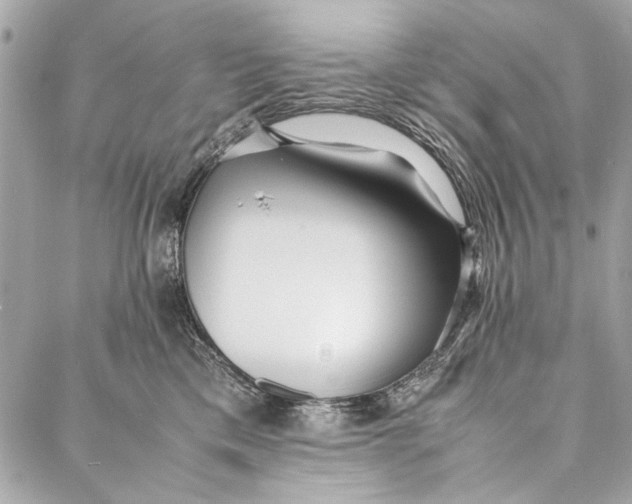 X0000086920425200705071333