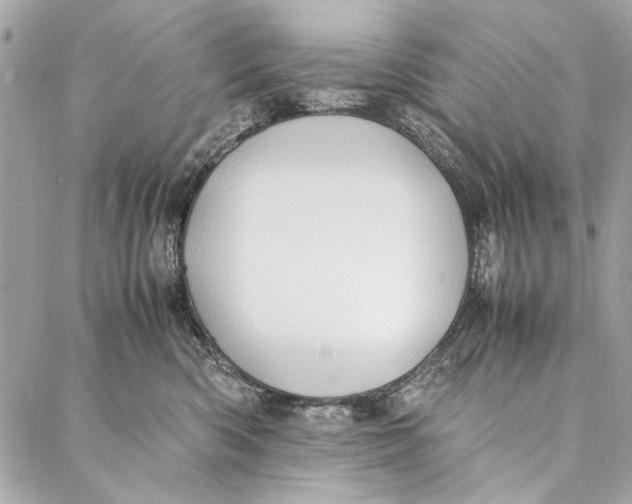 X0000086920426200705071333