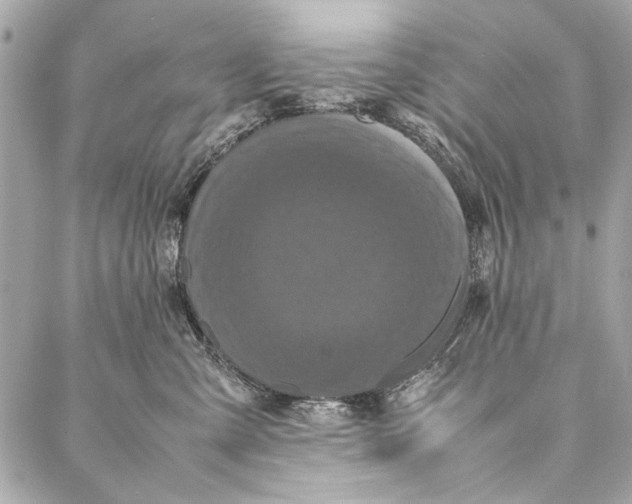 X0000086920427200705071333