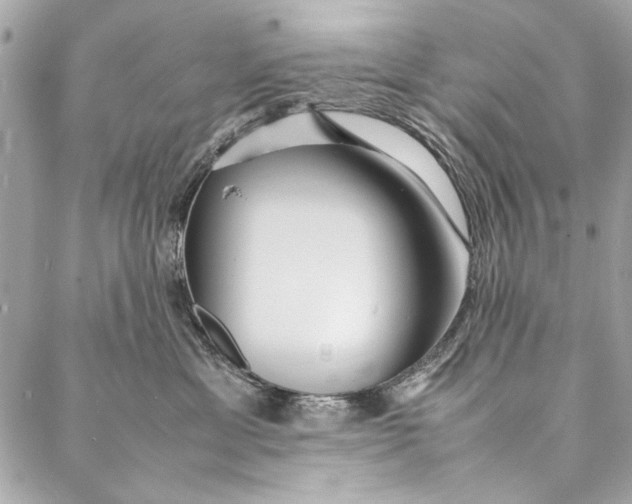 X0000086920429200705071333