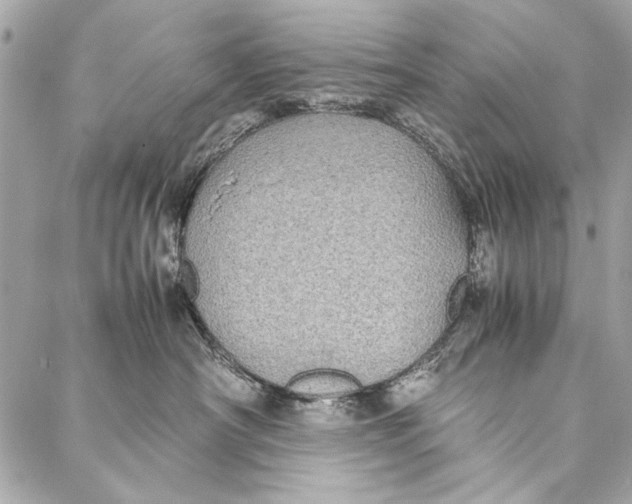 X0000086920430200705071333