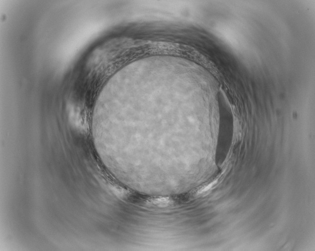 X0000086920431200705071333