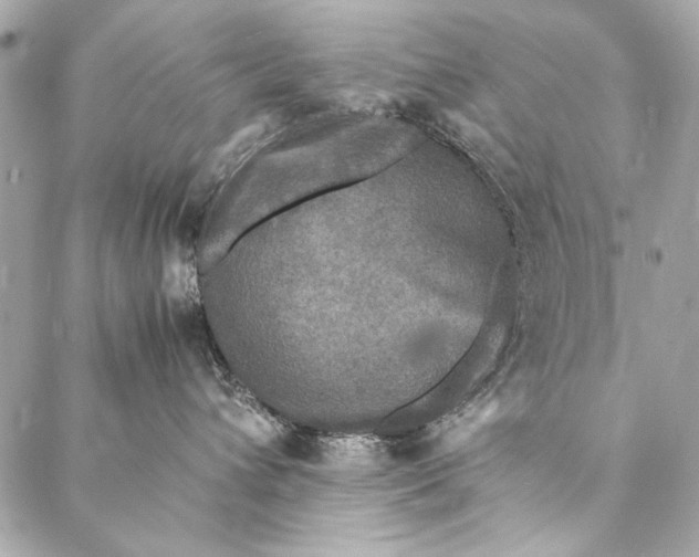 X0000086920432200705071333