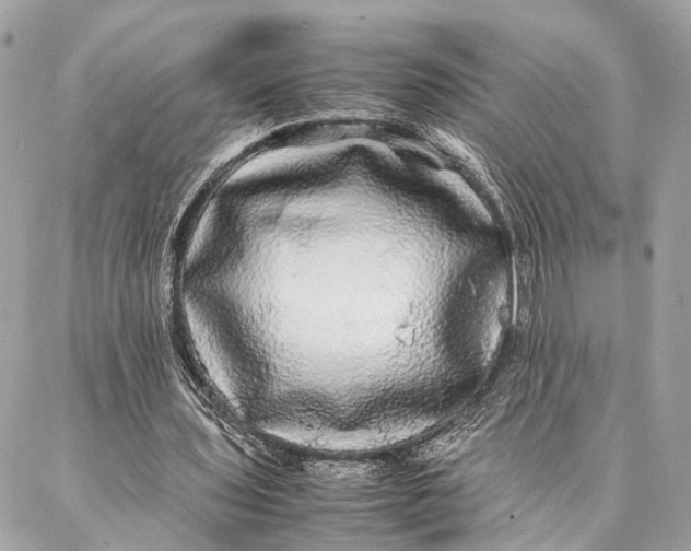 X0000086920435200705071332