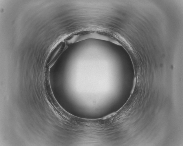 X0000086920436200705071332