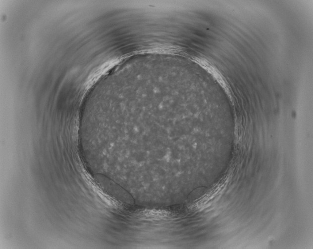 X0000086920437200705071332