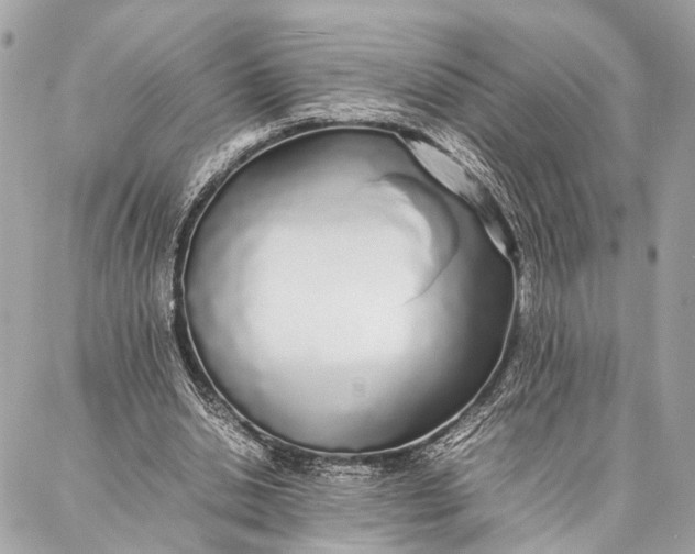 X0000086920438200705071332