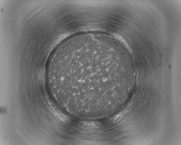 X0000086920439200705071332