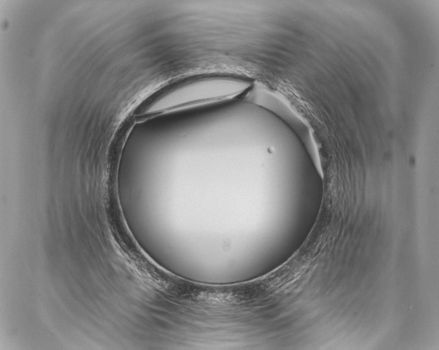 X0000086920440200705071332