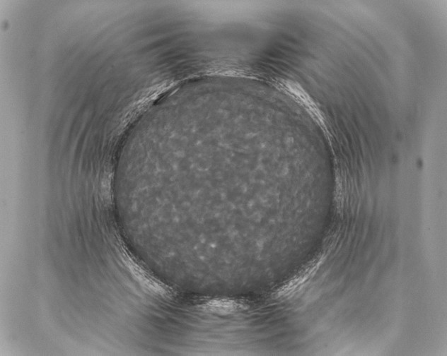 X0000086920441200705071332