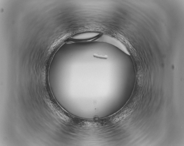 X0000086920442200705071332