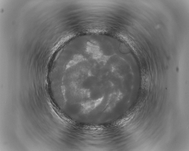 X0000086920443200705071332