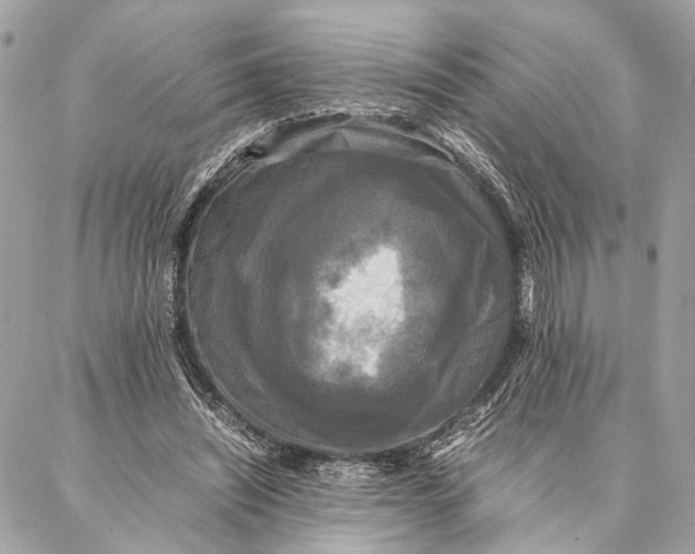 X0000086920444200705071332