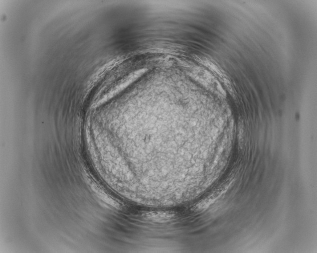 X0000086920445200705071332