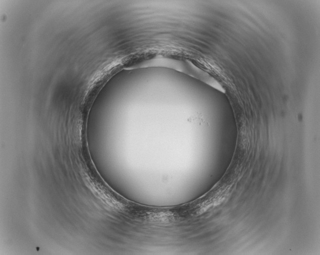 X0000086920446200705071332