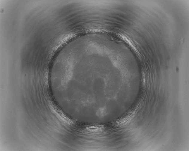 X0000086920447200705071332