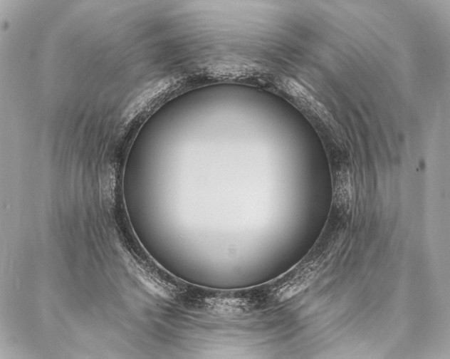 X0000086920448200705071332