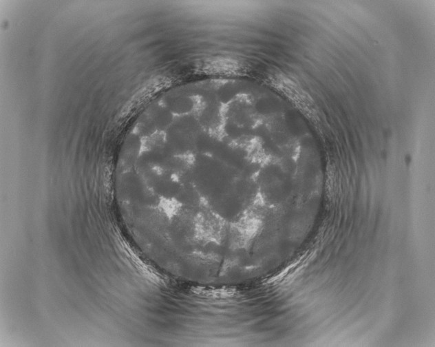 X0000086920449200705071332