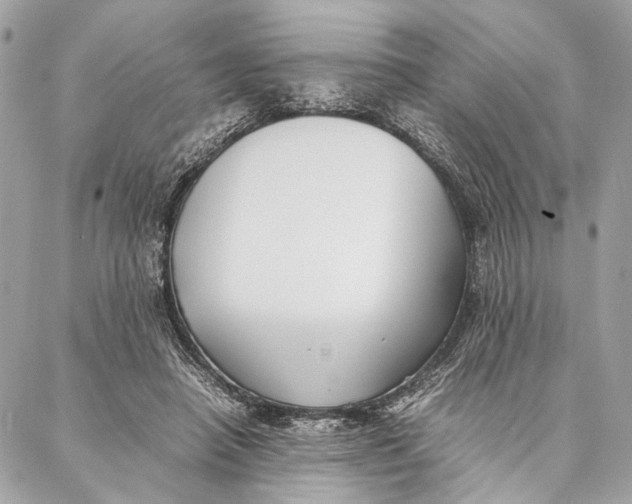 X0000086920450200705071332