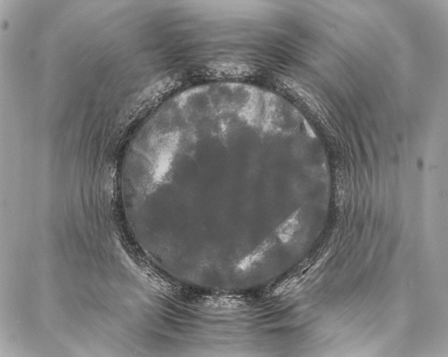 X0000086920451200705071332