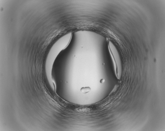 X0000086920452200705071332