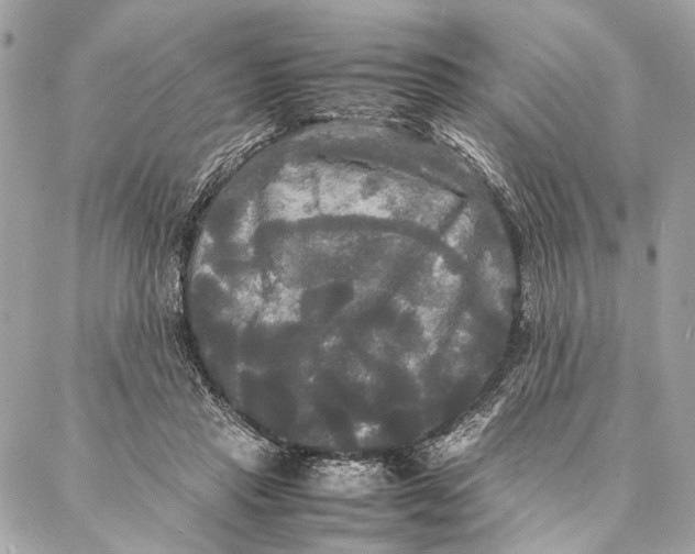 X0000086920453200705071332