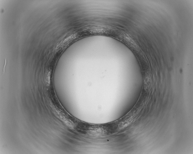 X0000086920454200705071332