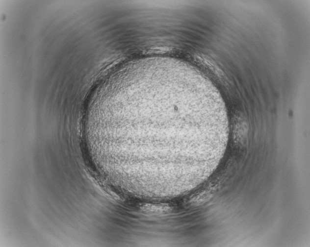 X0000086920455200705071332