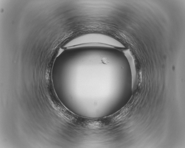 X0000086920456200705071332