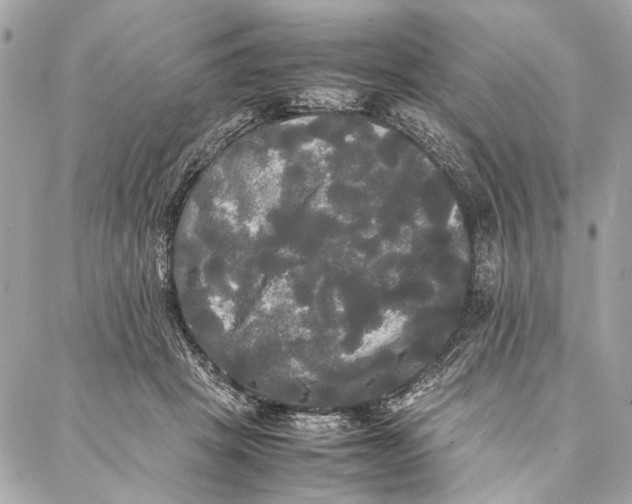 X0000086920457200705071332