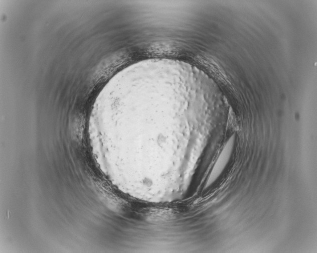 X0000086920458200705071332