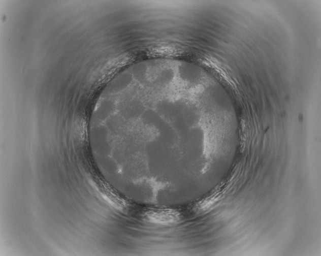 X0000086920459200705071332