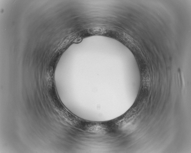 X0000086920460200705071332