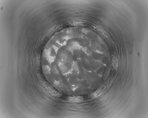 X0000086920461200705071332