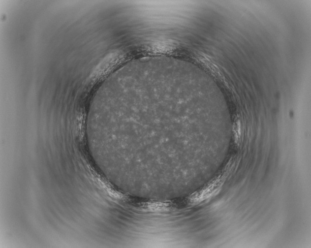 X0000086920462200705071332