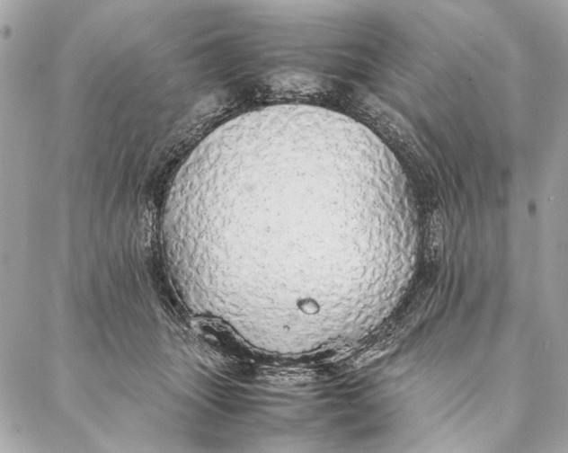 X0000086920463200705071332