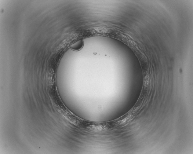 X0000086920464200705071332