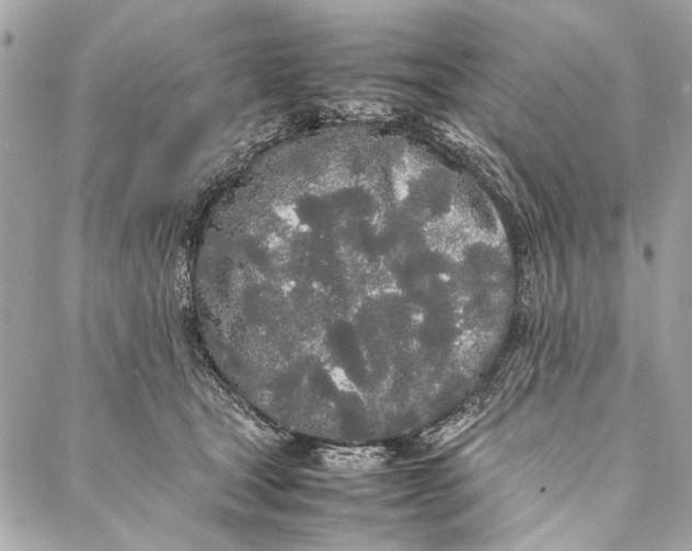 X0000086920465200705071332