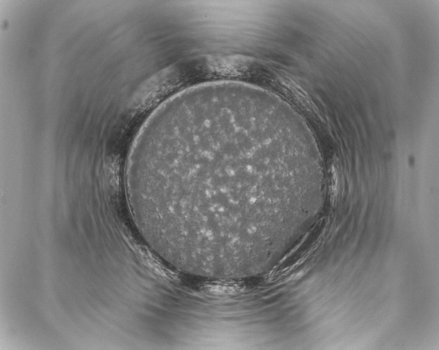 X0000086920466200705071332