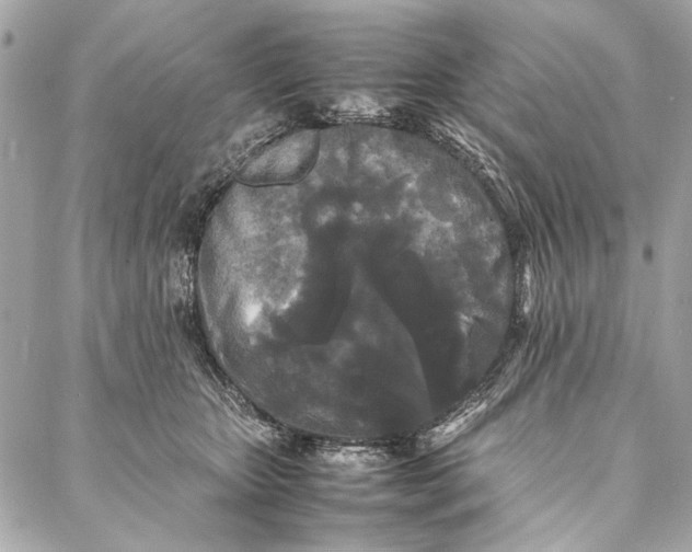 X0000086920467200705071332