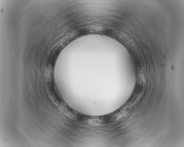 X0000086920468200705071332