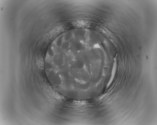 X0000086920469200705071332